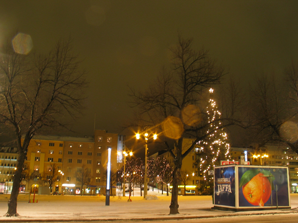img_2446.JPG