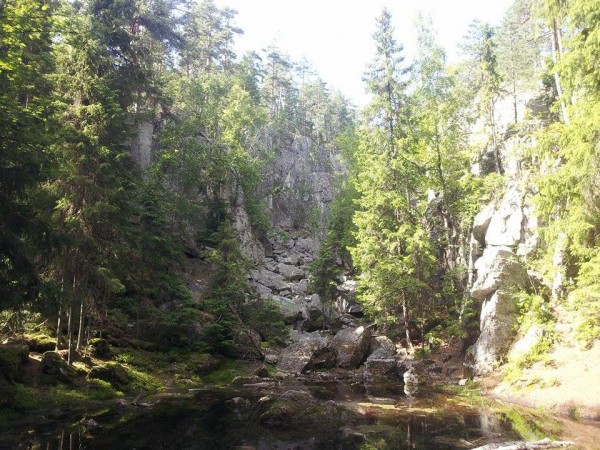 pirunpesä1